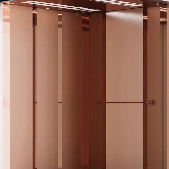 کابین آسانسور بردیا