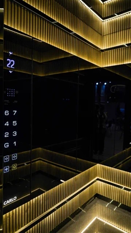 کابین آسانسور کارلو