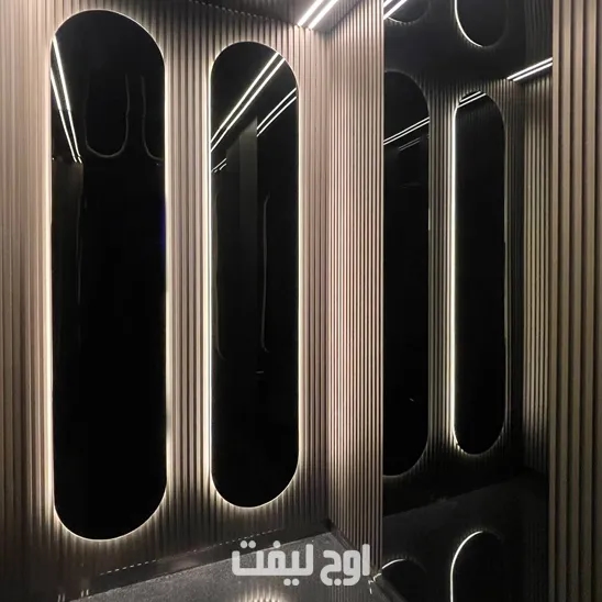 کابین آسانسور موناکو نقره ای
