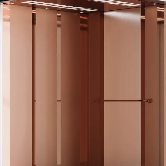 کابین آسانسور بردیا