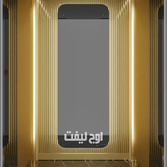 کابین آسانسور ربرتو